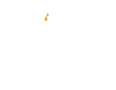 without palm oil